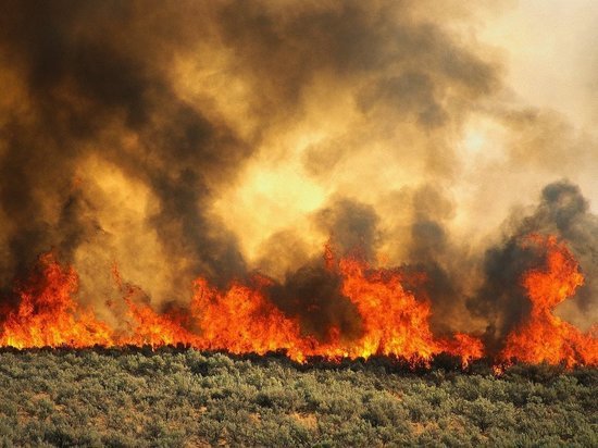 На территории 13 районов Хабаровсокого края установлен противопожарный режим