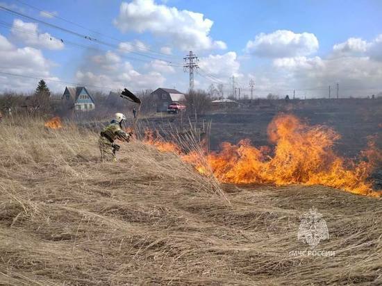 В Курской области власти напомнили о больших штрафах за сжигание мусора и сухой травы