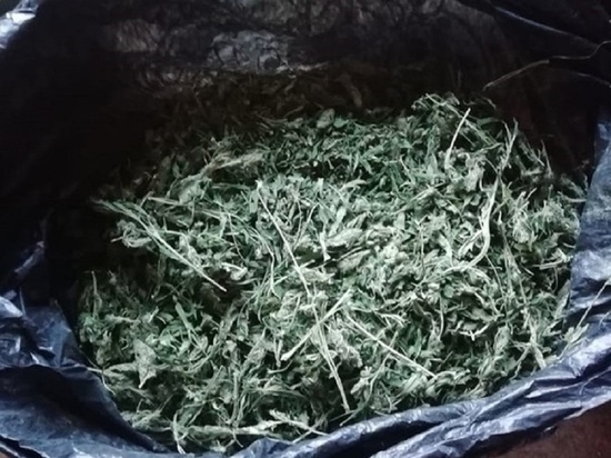 Бийские полицейские искали труп в доме, а нашли наркотики