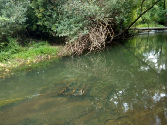 В Пензенской области почистят и углубят реку Атмис