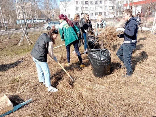 Двухмесячник по уборке начался в Вышневолоцком округе