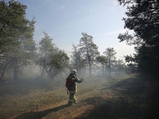 МЧС предупреждает жителей Волгоградской области о пожароопасности