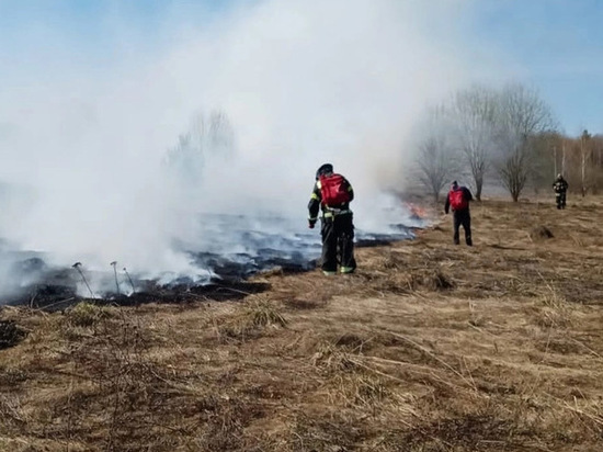Во Владимирской области едва не сгорело две деревни из-за пала травы