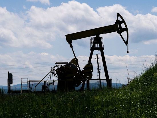 В МИД России назвали факторы, влияющие на рынок нефти