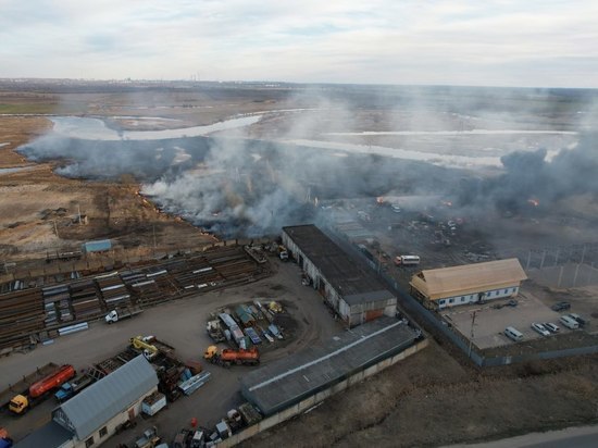 В Ярославле от пала травы едва не сгорело автопредприятие