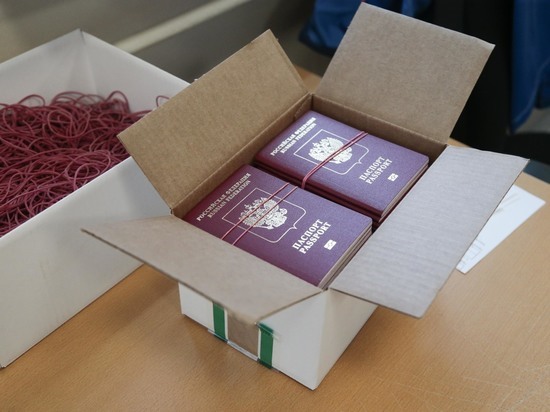 В ЛДПР предложили сажать за надругательство над российским паспортом