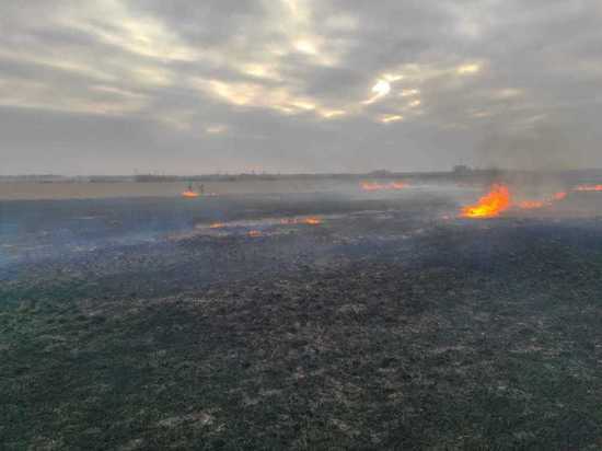 Два первых лесных пожара потушили в Омской области