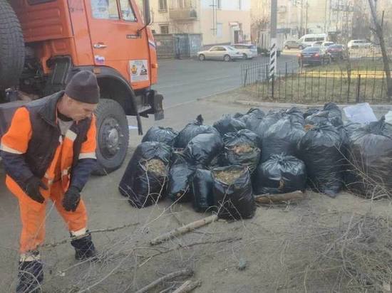 Общегородской субботник пройдёт 29 апреля в Чите