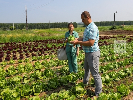 В Татарстане вырос спрос на работников агросектора
