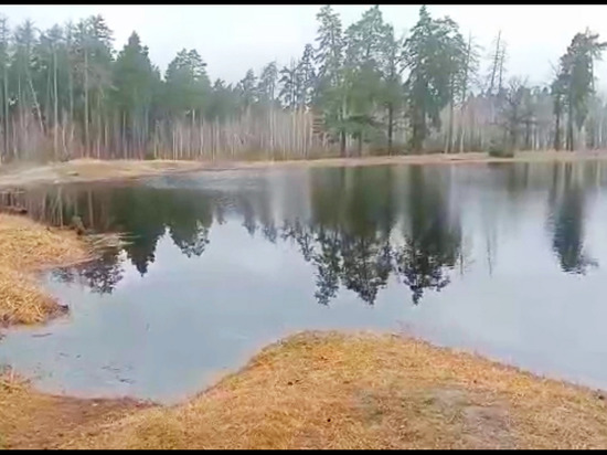В Воронеже пересыхавшее озеро Грязное наполнилось водой