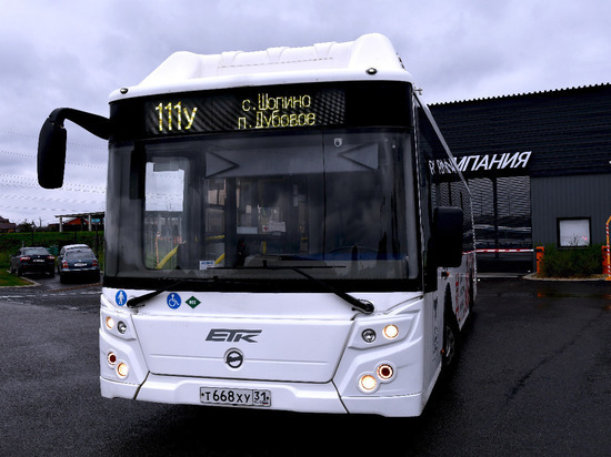 195 автобусов в Белгороде и пригороде оборудовали тревожными кнопками Росгвардии
