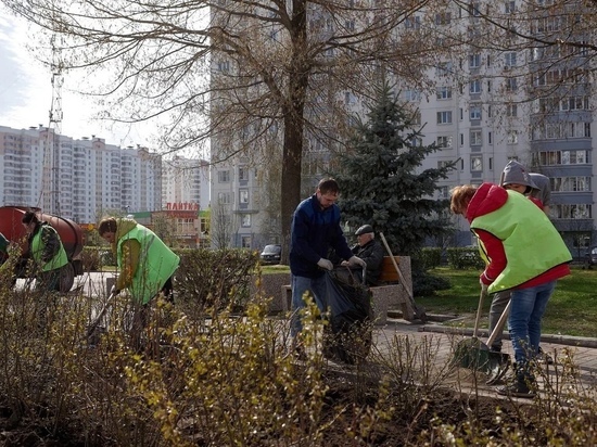 В Курске высадили 139 роз и 150 кизильников на проспекте Вячеслава Клыкова