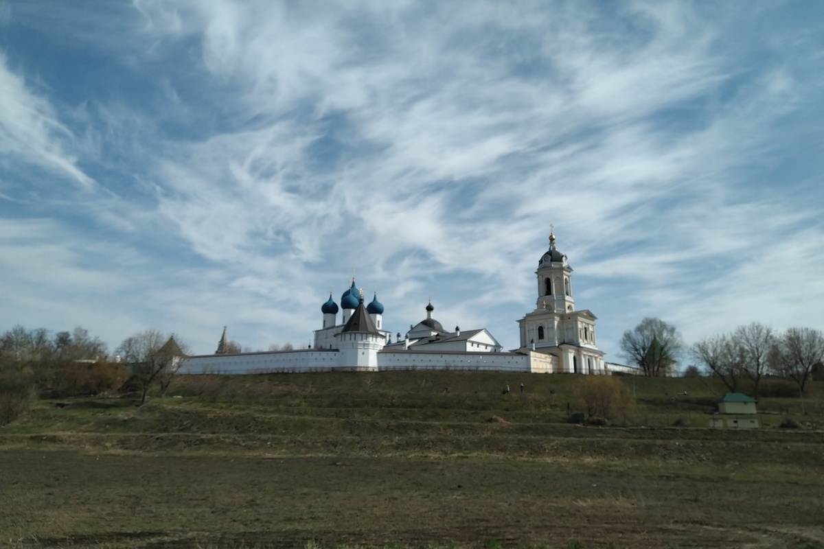 Высоцкий монастырь Подсолнухи