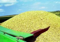 Ввоз на территорию Словакии отдельных видов продукции аграрной отрасли с территории Украины запрещен на неопределенный срок