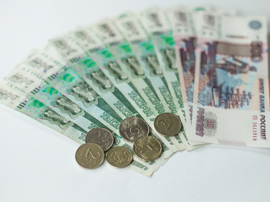 В 2023 году размер грантов для Новгородской области на конкурсе «Агростартап» составляет 19 миллионов рублей