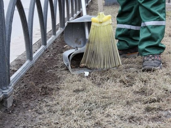 Кому больше платят: уровень дохода в Новгородской области