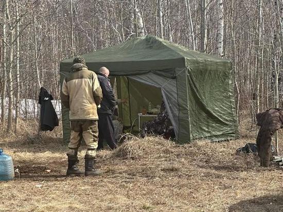 В Октябрьском районе браконьеры убили трех лебедей