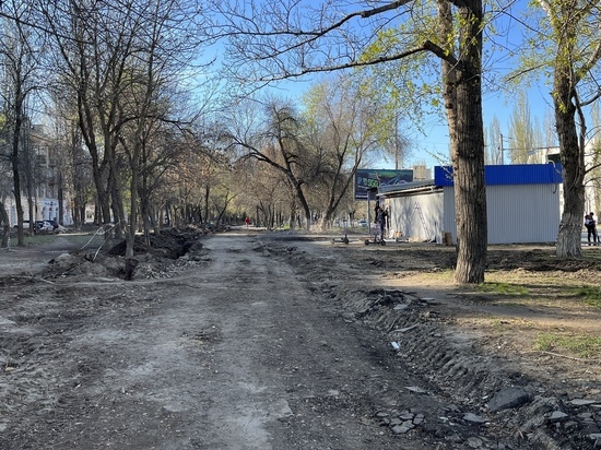 Мэрия Саратова не разрешила храму спилить деревья