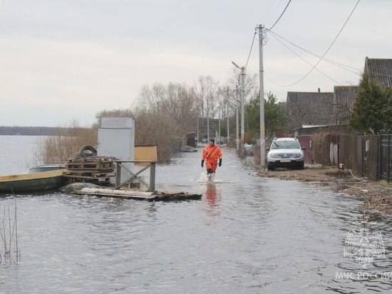 В Новгородской области в зоне затопления находятся 663 участка