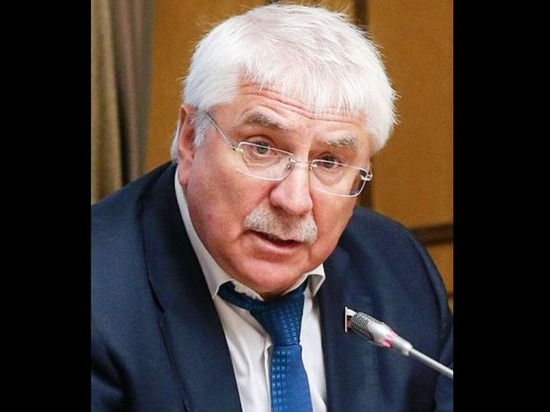 Депутат Чепа счел бесперспективной подготовку Макроном плана по миру на Украине