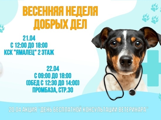 Жители Красноселькупа получат бесплатные консультации ветеринара и передадут бездомным животным гостинцы