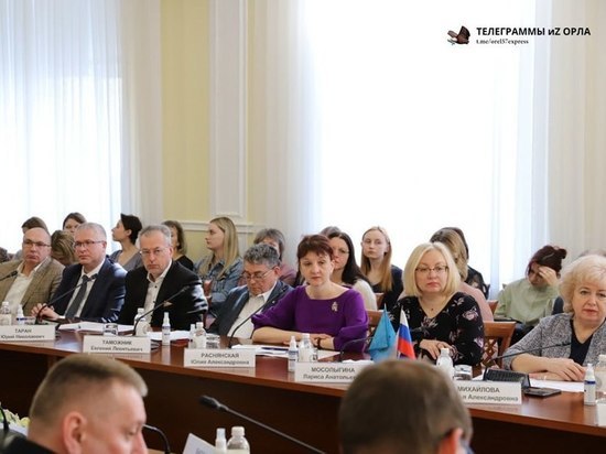 В Орле прошло пленарное заседание Координационного совета детских омбудсменов в субъектах ЦФО