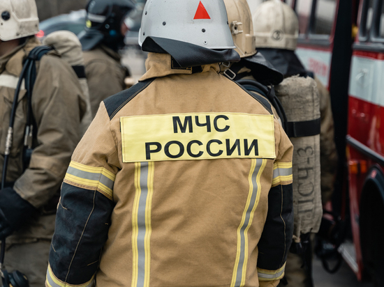 В деревне Турлатово под Рязанью загорелась свалка