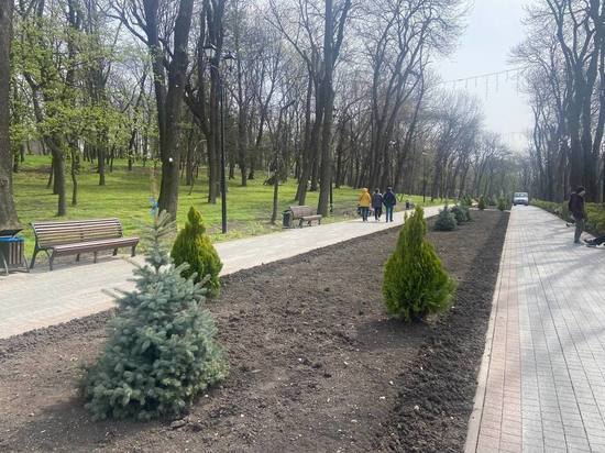 В Ессентуках высадили десятки вечнозеленых растений