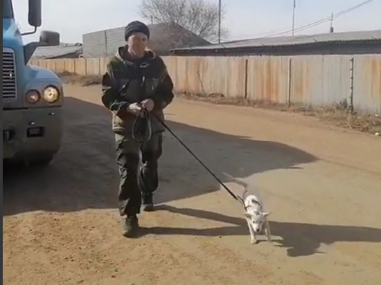 Щенка по кличке Лиза из ДНР передали в Улан-Удэ родственникам погибшего на СВО