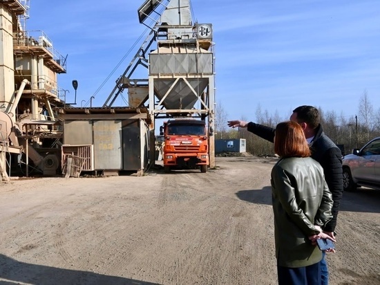 В Старой Руссе начнут ремонтировать мосты уже на этой неделе