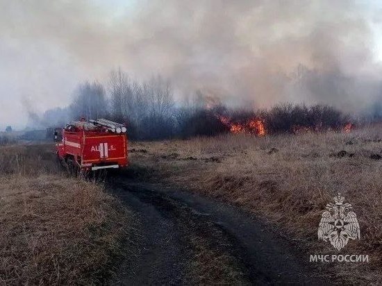 В Челябинской области спасли от огня три деревни