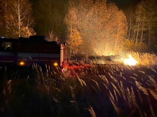 За сутки в Пензенской области от пожара пострадало почти 4 га лесов