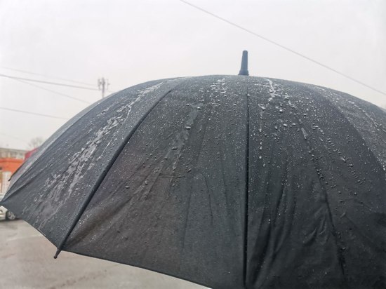 Погода испортится: ветер с дождем и мокрым снегом накроет Хабаровский край