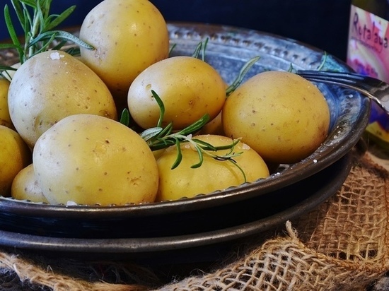В Упоровском районе пройдёт большой картофельный фестиваль