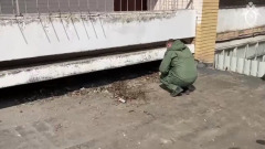 В Балашихе обнаружили тело пропавшей трехлетней Полины: видео с места трагедии