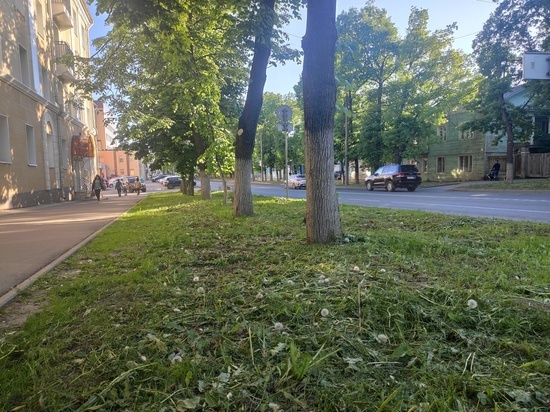 Специалисты скосят траву на 2,5 тысячи километрах дорог Вологодчины