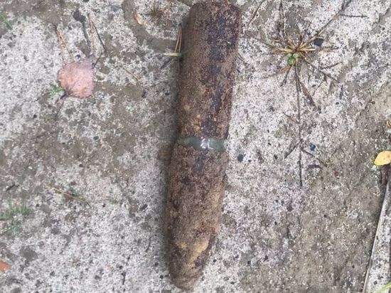 Брянские спасатели обезвредили артснаряд времен войны под Унечей