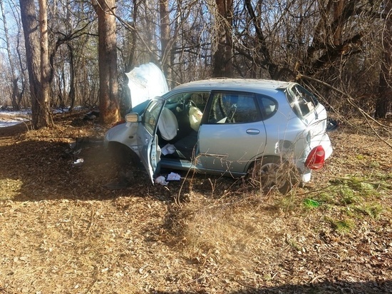   Житель Омской области угнал автомобиль тещи и врезался на нем в дерево