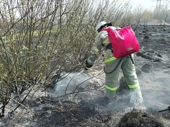 В Курской области за сутки произошло 33 пожара, из которых 23 палы сухой травы