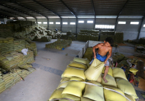 Пресс-секретарь координатора «зерновой сделки» от ООН Исмини Палла сообщила, что инспекции судов в рамках сделки возобновились
