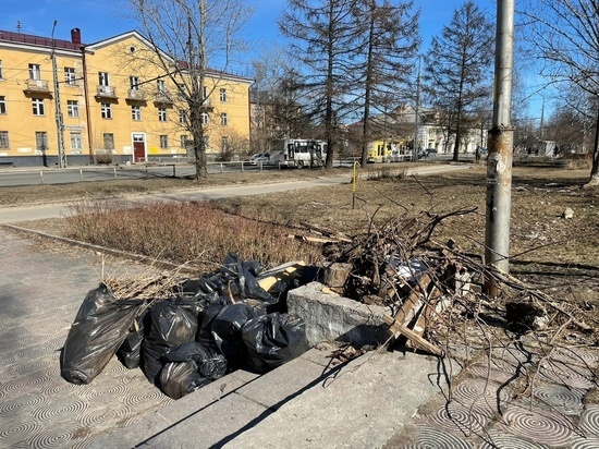 Горожане привели в порядок три территории в Петрозаводске