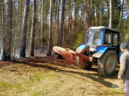 В Шумячском районе ликвидировали первый в этом сезоне крупный лесной пожар