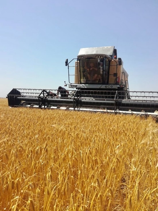 Власти Ставрополья поднимут вопрос на уровне России по поводу пошлин на зерно и цен на воду