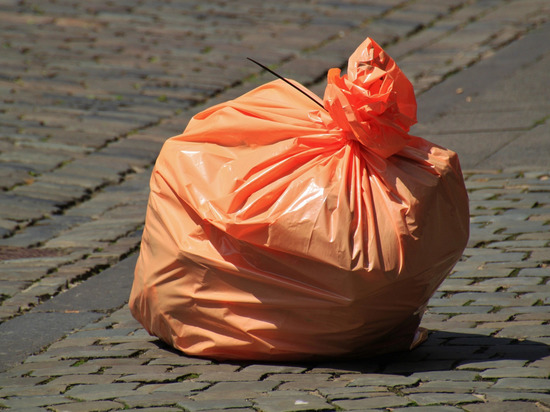 Вывоз мусора в Заводском и Железнодорожном районах Орла урегулируется в течение недели