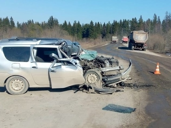 Водитель легкового автомобиля погиб при столкновении с грузовиком в Карелии