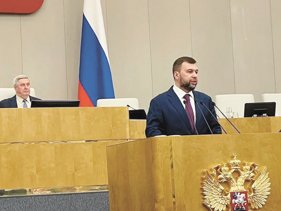Глава ДНР поддержал законопроекты о создании свободной экономической зоны в новых регионах