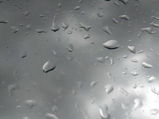 В Приамурье ожидаются сильные осадки и порывы ветра