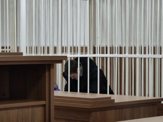 Отрубивший голову тёще житель Забайкалья признал вину и согласен на наказание