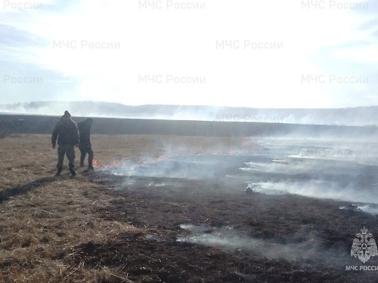 Виновником лесного пожара в Баяндаевском районе стал местный фермер