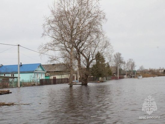 В Новгородской области из-за паводка затоплен 671 участок